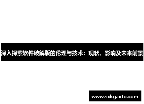 深入探索软件破解版的伦理与技术：现状、影响及未来前景